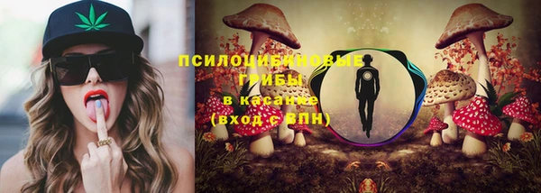 героин Алексин