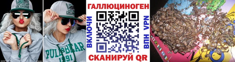 Псилоцибиновые грибы мицелий  мега   Пугачёв  наркота 