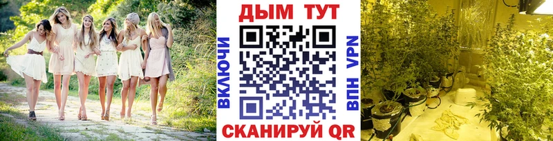 Каннабис Bruce Banner  закладка  Пугачёв 